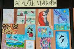 Allatokv rajzverseny